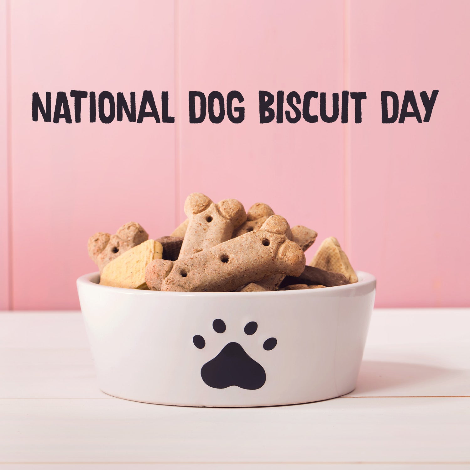 free-recipe-for-national-dog-biscuit-day-pawsome-doggie