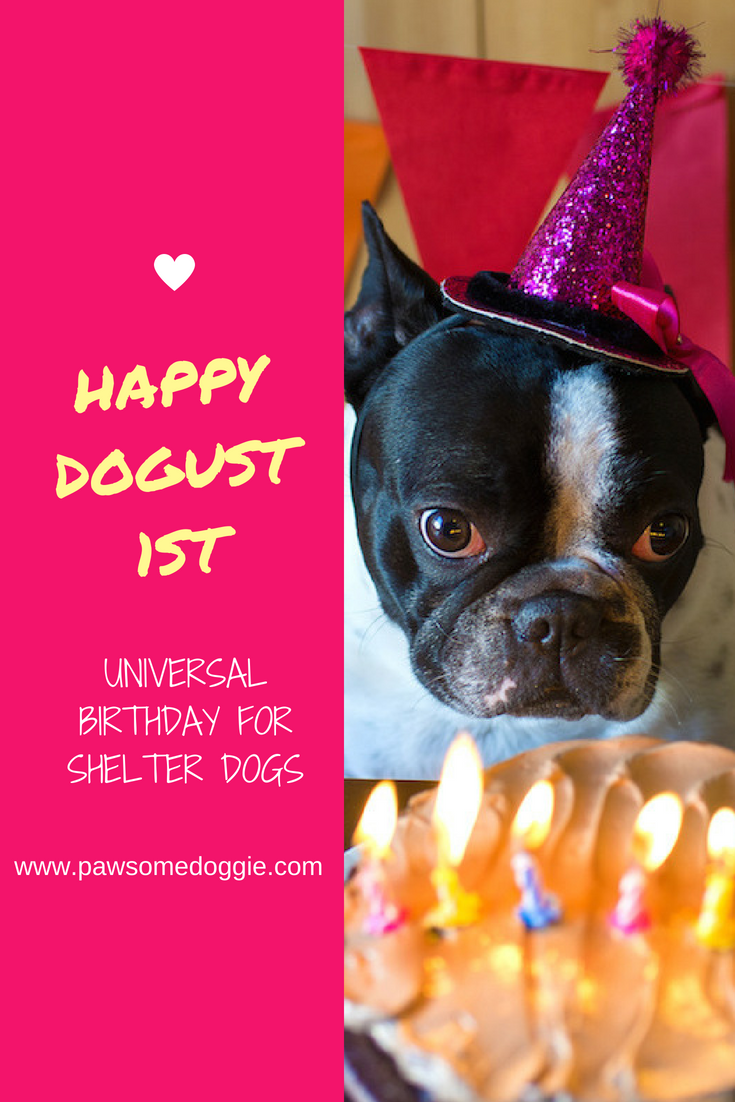 Universal shelter dog hot sale birthday